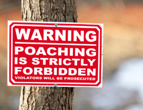 Poaching laws in california